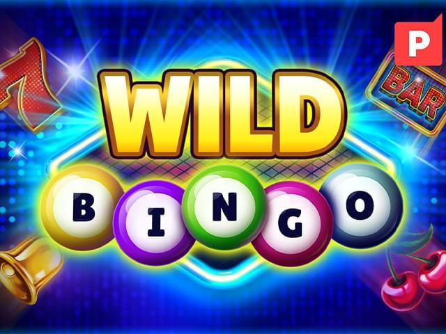 afun bet Bingo Selvagem